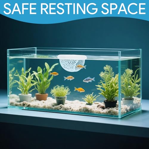 Image of Betta Fish Hideout, Floating Aquarium Decor, Fish Tank Decorations, Shrimp and Betta Cave, Aquarium Feeding Ring, Water-borne Pets to Breed, Play and Rest(White)
