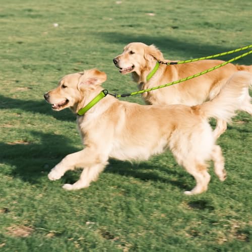 Taglory Doppelte Leinen/Hundeleine Doppelleine für 2 Hunde/Keine Verwicklung Reflektierend Kletterseil/Verstellbar Splitterleinen/75cm, GRÜN
