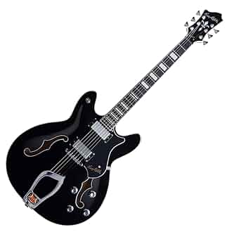 Hagstrom Viking セミアコギター＋ハードケース Hagstrom Viking Deluxe ハグストローム セミアコ - メルカリ