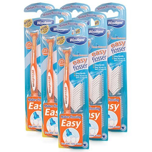 Wisdom Easy Floss Daily Flosser 6 Packs