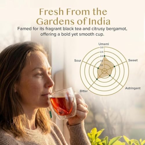 Image of VAHDAM, Earl Grey Black Tea Bags (100 Count) Medium Caffeine, Non GMO, Gluten Free | Citrus Bergamot & Smooth | Resealable Ziplock Pouch | Plant Based Tea Bags