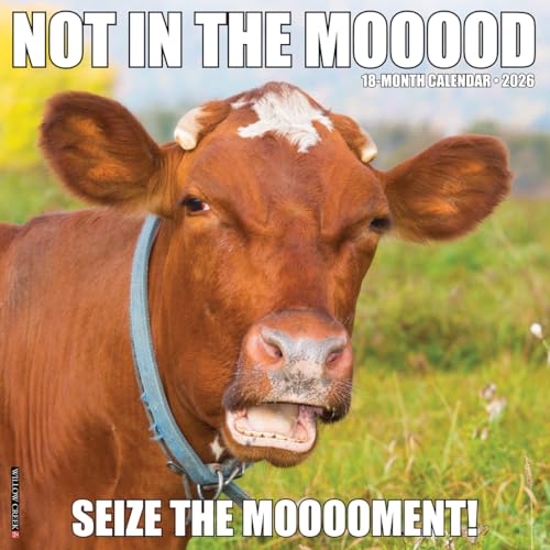 Not in the Mooood 2026 12 X 12 Wall Calendar