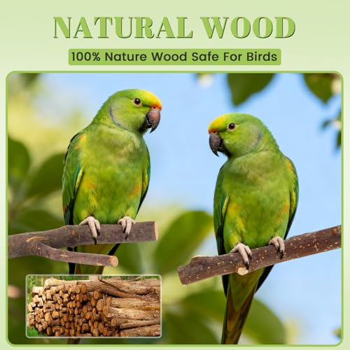Image of 6 Pack Natural Wood Bird Perches for Cage, Wooden Parrot Perch | Wood Bird Stand Toy, Hardwood Branches, Climbing & Chew Toy for Bird Cage Accessories, Ideal for Parakeets Budgies Cockatiels