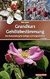 Grundkurs Gehölzbestimmung: Eine Praxisanleitung für Anfänger und Fortgeschrittene (Quelle & Meyer Bestimmungsbücher) - Rita Lüder 