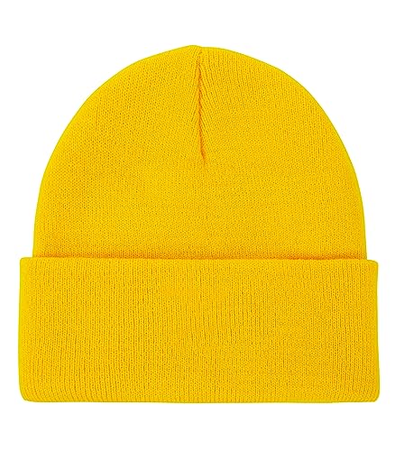 Beanie Co B1 Beanie Review (2025): Stylish & Warm