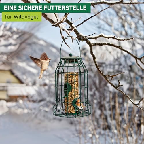Windhager Vogelfuttersilo mit Räuberschutz, Vogelhaus, Futterhaus für Vögel, Vogelhäuschen, Vogelfutterstation zum Aufhängen, Vogel-Silo, 06514, Anthrazit
