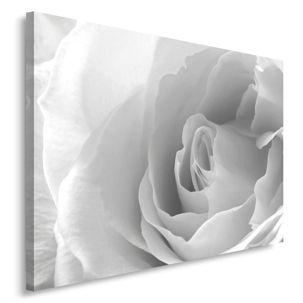 Feeby Cuadro En Lienzo Rosa 80x60 cm 1 Pieza Modernos Impresión Artística Calidad Fotografica Imagen Decoración de Pared Salon Dormitorio Cocina Oficina Pasillo Blanco Gris
