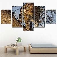 SIGNWIN 5 Panel Canvas Wall Art Animals Cheetah Closeup Contemporary Expressive Modern Artwork for Home Decorations Ready to Hang - 60