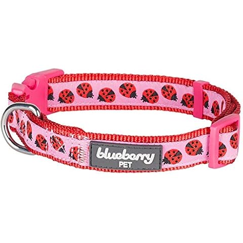 Blueberry Pet Ladybug Designer Basic Dog Collar, Medium, Neck 37cm-50cm, Adjustable Collars for Dogs Cover
