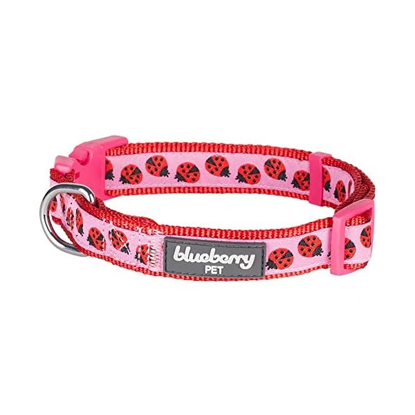 Blueberry Pet Ladybug Designer Basic Dog Collar, Medium, Neck 14.5″-20″, Adjustable Collars for Dogs Blueberry Pet Ladybug Designer Basic Dog Collar, Medium, Neck 14.5″-20″, Adjustable Collars for Dogs