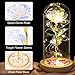 Mothers Day Flowers Gifts for Mom, Birthday Gifts for Women, Galaxy Glass Rose Gifts for Grandma Wife Daughter Artificial Forever Preserved Flowers for Delivery Prime Rose in Glass Dome, Rainbow