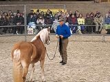  Backstage Pass with Monty Roberts