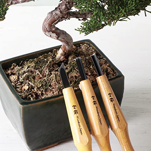 Wazakura Bonsai Jin und Shari Kreationswerkzeug-Set mit rundem Hohlmeißel, einzelner Schrägschräg und V-Scheitelwerkzeug, Holzbearbeitung (3-teiliges Bonsai-Jin- und Shari-Kit)