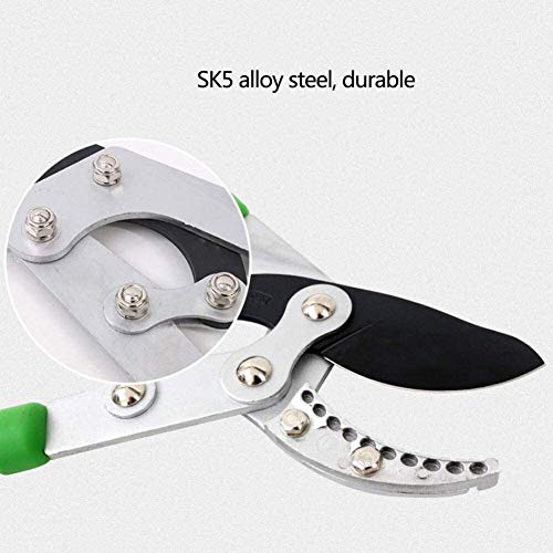 Cesoie da giardino estensibili portatili Troncarami a cricchetto Troncarami Troncarami da giardino Utensili per cesoie da giardino SK5 Acciaio legato Durevole Impugnatura ergonomica antisc