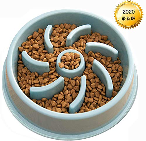 犬のダイエットに野菜を使うガイド 効果的に与える方法と野菜寒天ゼリーの作り方 ワンちゃんと夕焼けの中で散歩