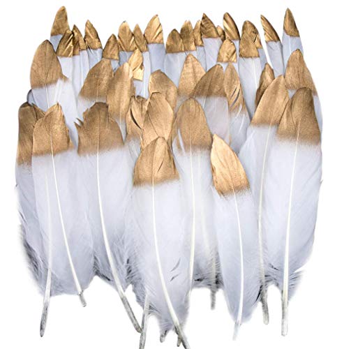 Plumes Colorées, 40pcs Or blanc trempé Plume Décoration, Idéal Pour Costumes, Chapeaux, Décoration d'intérieur Fete Mariage Anniversaire, Multicolore