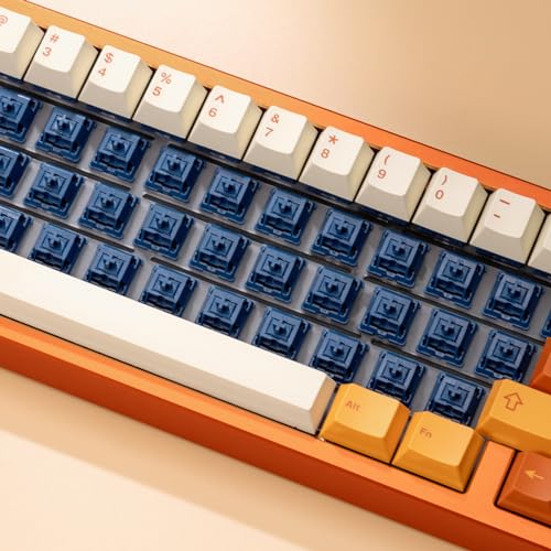 OOCTPK Interruptores de teclado táteis leves WS, 35 peças de interruptores táteis de teclado mecânic