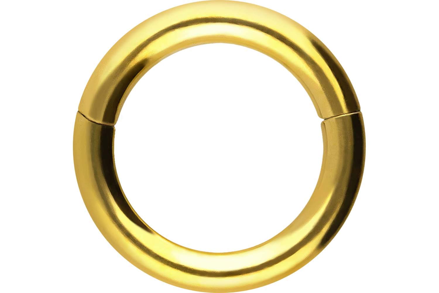 PIERCINGLINE Anillo segmento Clicker de acero quirúrgico – Piercing en oro, plata, rosa, negro o azul – para nariz, tabique, oreja, hélice o tragus — view 32