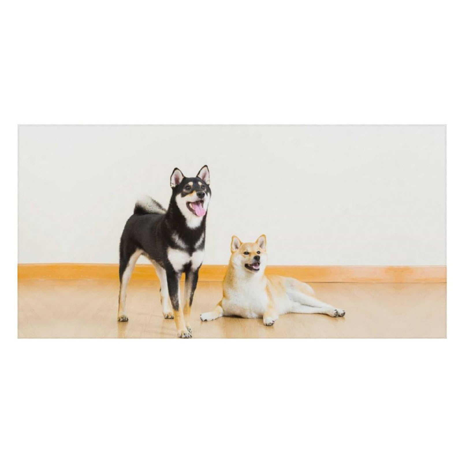 LWORZIIB Beach Towel, Shiba Inu Dog Bath Towel, Pool Towel Great for Gym Swimming 80 X 160cm