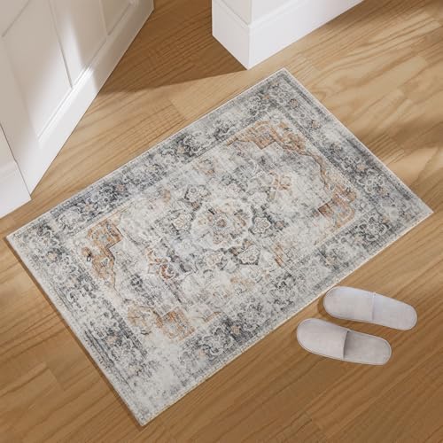 Washable Entryway Small Area Rugs: 2'x3' Boho Rug Non Slip Door Mat Indoor Entrance Stain Resistance Low Pile Throw Rugs for Inside Front Door Floor Bedroom Bedside Kitchen Nursery Dorm Home Entry