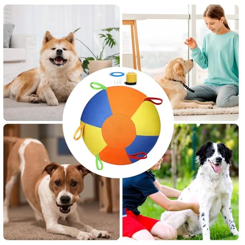 Jouet gonflable pour chien de type interactif pour le jeu de chiot