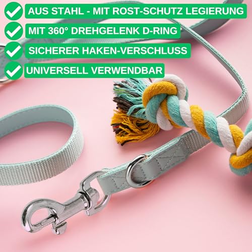 Karabiner für Drehgelenk, 2 Stück, in Silbern, Größe 2, für Hundehalsband, Hundeleine, Karabinerhaken mit abgerundetem Wirbel, Schnalle Schlüsselbund Gurtband, Schlüsselanhänger Drehkopf Paracord