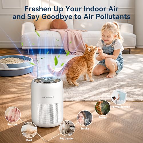 Image of FULMINARE Air Purifiers for Bedroom, H13 True HEPA Air Purifiers, Quiet Small Air Filters, with Timer Sleep Mode Speeds Control Night Light, for Pets, Office, Living Room (White)