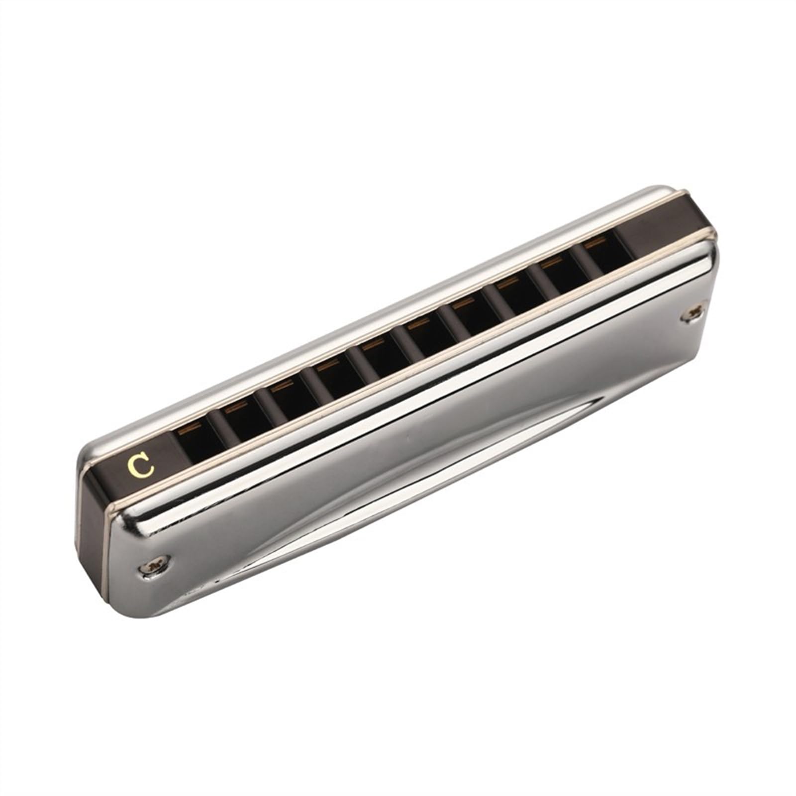 Armonica A Bocca Professionale Armonica Blues Professionale a 10 fori accordata in Do Argento Adatta ai Principianti
