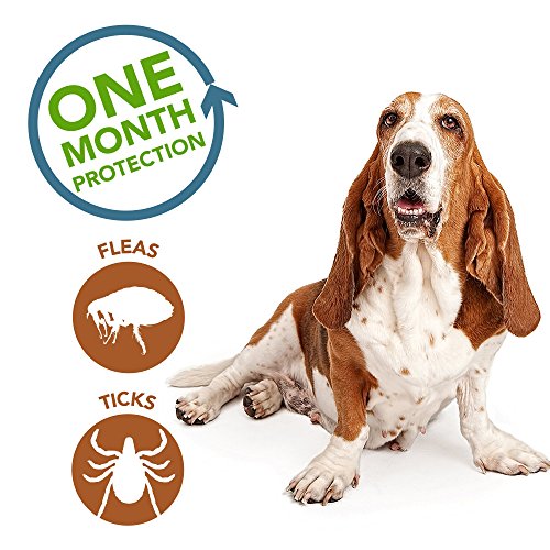 Vet's Best Flea and Tick Spot-on Drops | Topical Flea Treatment Drops for Dogs |Plant-Based Formula | 4 Month Supply for… - Image 5