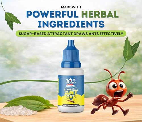Image of Amish Herbal Ant Gel Pack of 2 | 10 Min Max Bait Formula | Powerful Organic Repellent & Cleaner | Removes Red,Black Ant, Antox Pests | Natural Dawa Protector for Home & Kitchen