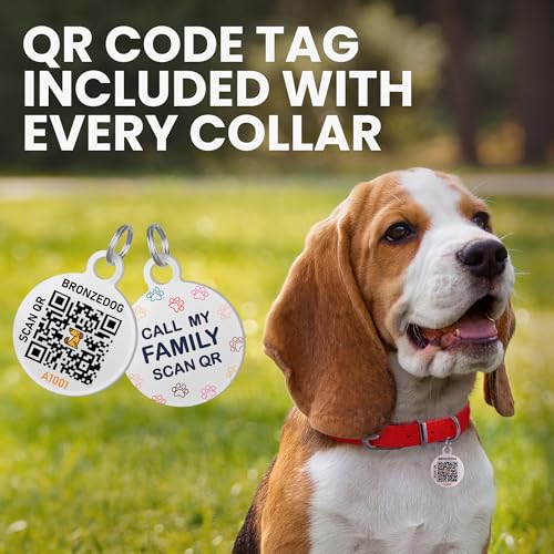 BRONZEDOG Hundehalsband aus gerolltem Leder für kleine, mittelgroße und große Hunde mit QR-ID-Tag (Schwarz glänzend, S: 30-36 cm)