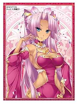 激レア　NEXTONガールズスリーブコレクション　60枚入り 激レア NEXTONガールズスリーブコレクション 60枚入り Amazon