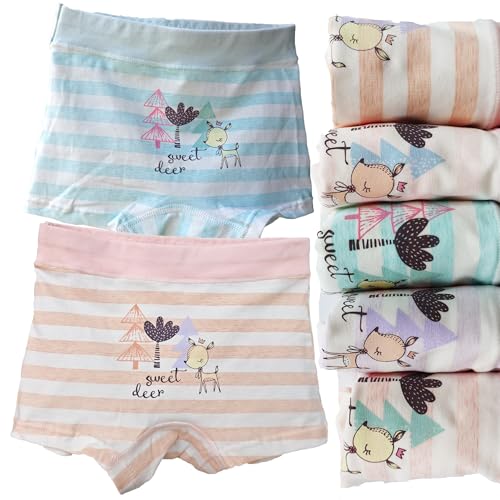 Little Girls Underwear Cotton ages 2,3,4,5 Years Old Striped of 5 Pack Soft Breathable Baby Toddler Panties Boyshorts