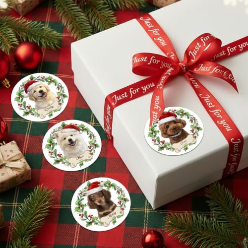 Image of Personalized Christmas Stickers with Pet Photo