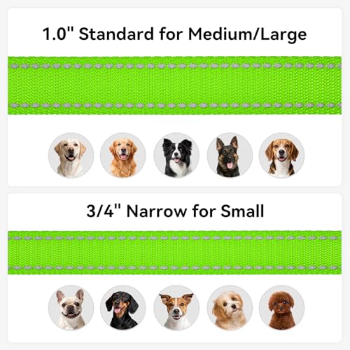 Joytale Hundeleine für Große und Mittelgroße Hunde, Doppelseitig Reflektierende Leine Hund aus Nylon mit Gepolstertem Griff, 1,8m x 2,5cm, Grün
