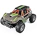ZXCVBNAS RC Car/Boat Toys Telecomando Automobili Auto Piscina Acqua Giocattolo Giocattolo Dono Fuori-Road Rock Crawler 2.4GHz Stunt Impermeabile Veicoli televisivi Radio Voli di Natale,Grigio