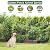10 Panels No Dig Decorative Garden Fence Animal Barrier - 24 in (H) x 20 ft (L) - Dog Fence Outdoor for Yard, Rabbits and Small Pets - Tall Rustproof Metal Wire Fencing Border for Garden and Patio