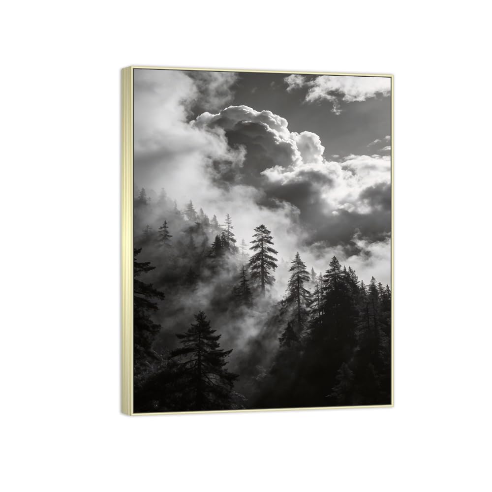 Tree Clouds 2 Black White Landscape Canvas Picture 90x117cm Silver Frame