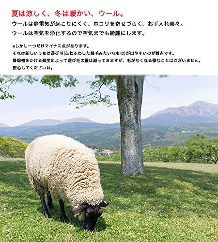 Amazon | 【ウィルトン織 コフト】モルドバ製・絨毯(じゅうたん