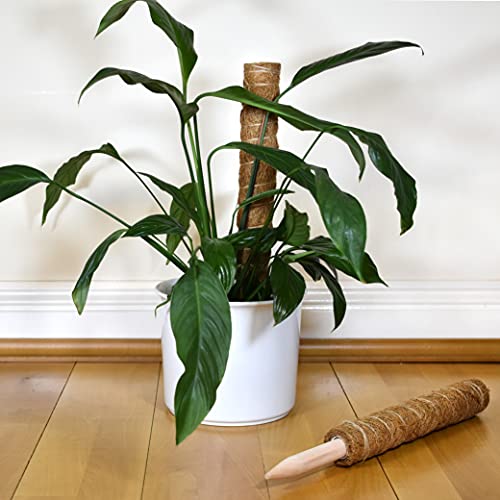 Mospaal mosstoken kokos totem paal voor planten, mospaal voor monstera en kamerplanten, ondersteuning voor tuin planten… - Image 4