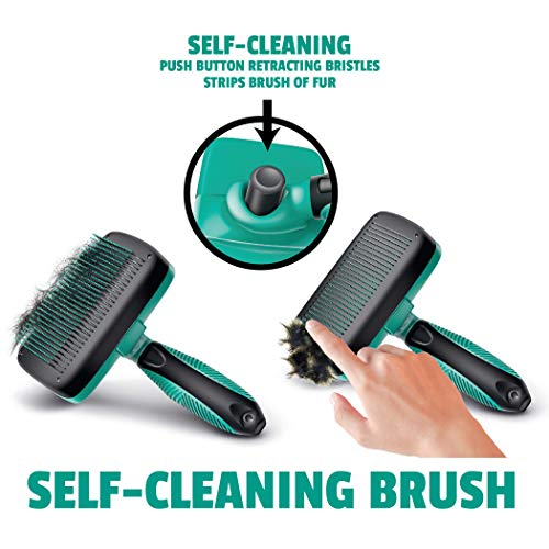 Oster Flea and Tick Shampoo with Oatmeal 3.29 (REG 9.99