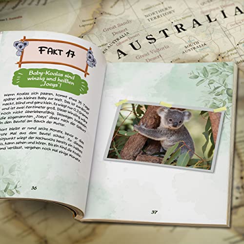 Das große Koala Buch für Kinder: Einzigartige Fotos und Fakten über Koalas inkl. Koala-Quiz und zahlreichen Spielen zum Ausfüllen. Großer Spaßfaktor garantiert!