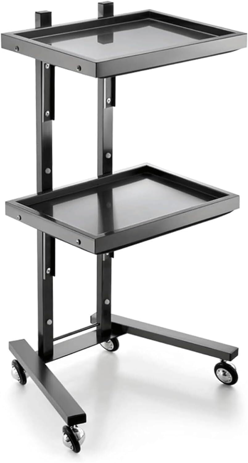 SSDDLZEQ Mobile Salon Station, Salon Rolling Cart Metal Salon Cart Foldable Trolley Cart 2 Tier Storage Utility Cart With Casters Portable Salon Trolley(Schwarz)
