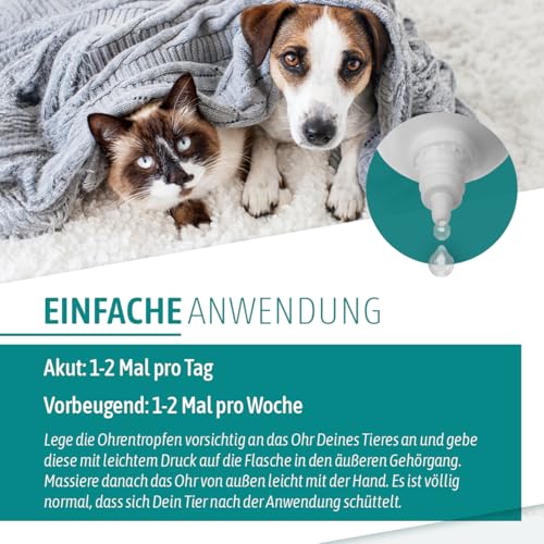 AniGo Ohrentropfen mit kolloidalem Silber 50ml I Für Hunde & Katzen I SEHR GUT bei Ohrentzündungen, Juckreiz, Keime, Pilze und Bakterien, Ohrenpflege, Ohrenhygiene, Gesunde Ohren