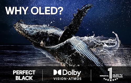 LG OLED evo C5 TV 48" 4K 144 Hz - photo 3