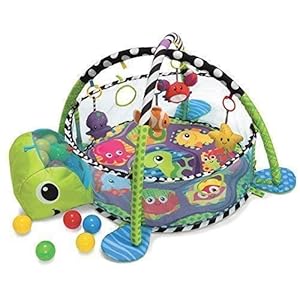 Groeien with Me 3-in-1 Baby Acitivity Gym speelmat & Ball Pit met mesh zijkanten