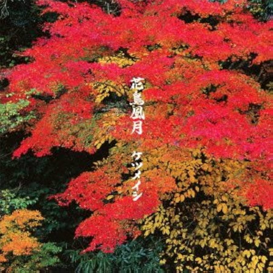 Amazon.co.jp: 花鳥風月: ミュージック