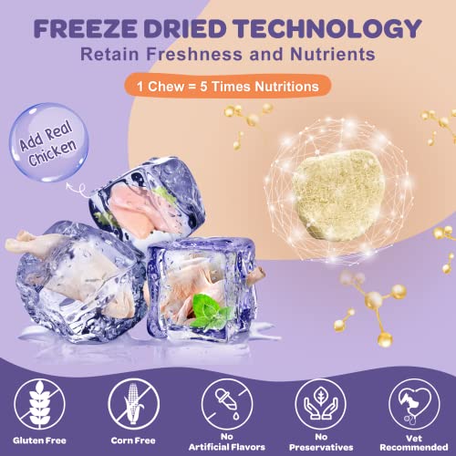 Probiotics-for-Dogs-6-Billion-CFUs-Freeze-Dried-Dog-Probiotics-with-Prebiotics-and-Digestive-Enzymes-Vitamins-and-Omega-3-for-Gut-Skin-Immune-Health-Allergy-Itch-Relief-Reduce-Diarrhea-Gas