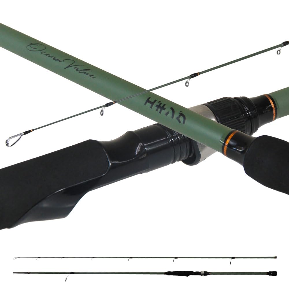Amazon | おり釣具 エギングロッド オーシャンバリュー エギング
