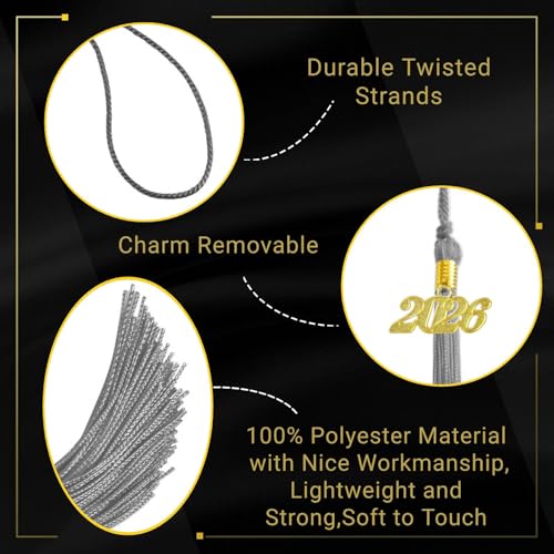 Image of 2026 Tassel Graduation,Silver Tassel 2026 for Grad Cap and Graduation Ceremony Accessory Decoration